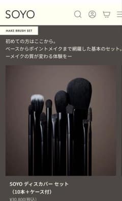 小田切ヒロさん SOYOメイクブラシ10本ケース付 ＊お値下げ不可