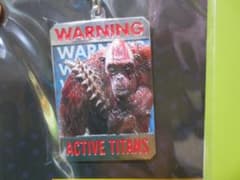 극장 한정 영화 GODZILLA×KONG 키홀더 스커킹