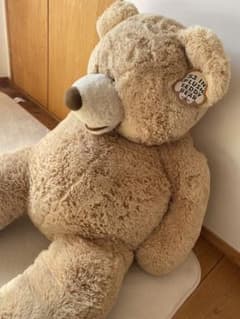 コストコ くま 135cm hugfun ぬいぐるみのサムネイル