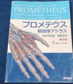 プロメテウス　解剖のサムネイル