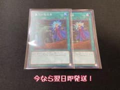 【遊戯王】墓穴の指名者　シークレットレア　2枚セットのサムネイル