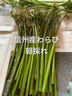 信州産わらびと、タラの芽小さいのおまけ付きのサムネイル