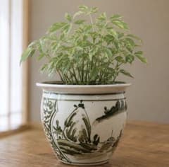 陶器 植木鉢 山水画 盆栽鉢 鉢カバー 直径 - メルカリ