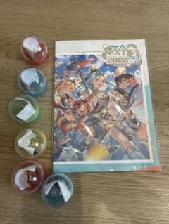 未開封新品 グラブルEXTRAフェス2025 パンフレット リアルガチャ6回のサムネイル