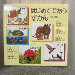 はじめてであうずかん　こんちゅう・けもの・とり・さかな・しょくぶつ　全5冊　箱付のサムネイル