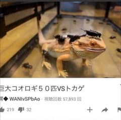 あのサムネイル