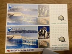 ☆ 新江ノ島水族館 ご招待チケット　2枚 ☆のサムネイル