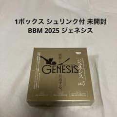 BBM 2021 GENESIS 未開封ボックス　ジェネシス 2025年最新】BBM ジェネシス ミニボックスの人気アイテム - メルカリ