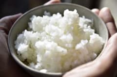 無農薬 佐渡産コシヒカリ１０キロ農家直送！ 令和7年産】 佐渡産 コシヒカリ 10kg 商品詳細｜株式会社新潟農商