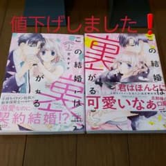 この結婚には裏がある 全２巻、完結のサムネイル