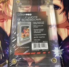 1個 ウルトラプロ 1インチ ルサイト・スクリューダウン Ultrapro