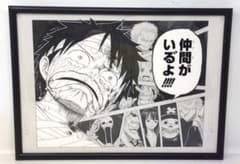 m23423612096_1.jpg?1748591687