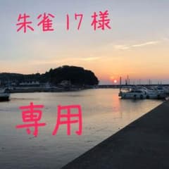 朱雀17専用のサムネイル