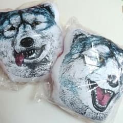 이치 반 쿠지 MAN WITH A MISSION 도쿄 타나카 스페어 리브