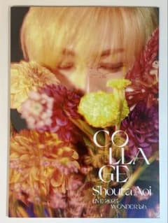 蒼井翔太 LIVE 2024 Collage パンフレットのサムネイル