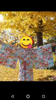 ✳ma様✳七五三用着物のサムネイル