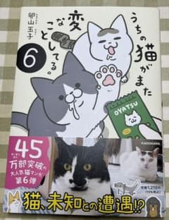 うちの猫がまた変なことしてる6のサムネイル