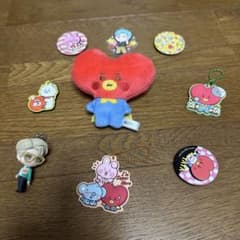 BT21 TATA 봉제인형과 배지 세트 합계 9점