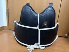 少林寺 胴 プロテクター 武道 防具のサムネイル