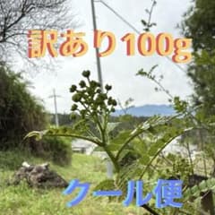 花山椒のサムネイル