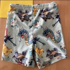 ポケモン 水着 ピカチュウ ゼニガメ ギャラドス ゲッコウガ110cmのサムネイル