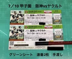 7/10水曜 甲子園 阪神vsヤクルト グリーンシート下段 2枚連番 手渡し 