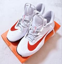 【送込・中古美品】Nike テニスシューズ 27cm【ハードコート】のサムネイル