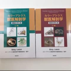 新品未使用　カラーアトラス獣医解剖学 上下巻のサムネイル