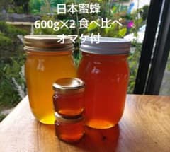 日本蜜蜂完熟はちみつ（食べ比べ）600g✕2（1,200g） - メルカリ