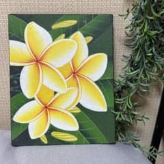 플루메리아 꽃 그림