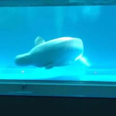まん太郎様専用のサムネイル
