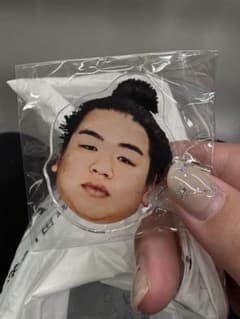 大相撲 相撲 お相撲さんのフェイスヘアピン ヘアピン 平戸海のサムネイル