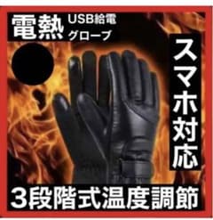 未使用電熱グローブのサムネイル