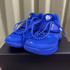 UNDER ARMOUR CURRY FOX1 KW フォックス1 25cmのサムネイル