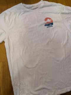 【未使用】Patagonia Pataloha Tシャツ HALEIWAのサムネイル