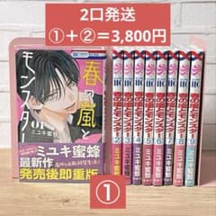 【2口発送①】春の嵐とモンスター 2口発送①】春の嵐とモンスター - メルカリ