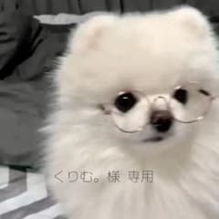 くりむ。様専用ページのサムネイル