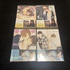 美しい彼 シリーズ 小説 4冊セット 凪良ゆうのサムネイル
