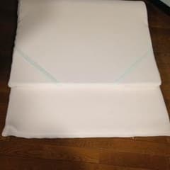 ヘムヘムさん専用　トゥルースリーパー シングル 【ブルー&ピンク】のサムネイル