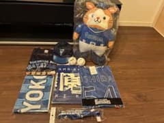 横浜ベイスターズ 応援グッズセット 桑原、中川颯サインボール - メルカリ