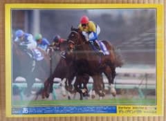 ディープインパクト(有馬記念) ジグソーパズルのサムネイル