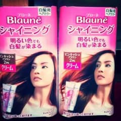 [新品未開封] 花王ブローネ 白髪用ヘアカラ―♪のサムネイル