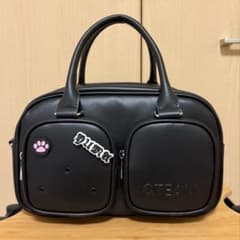 &TEAM LOGO MERCH / 2way pochet bagのサムネイル