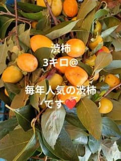 毎年大人気です！！☆渋柿☆3kgT字カット♪10月12日収穫のサムネイル