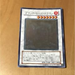 ブラックローズドラゴン ホロのサムネイル
