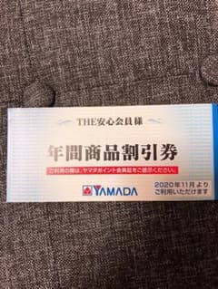 ヤマダ電機 3000円分 年間のサムネイル