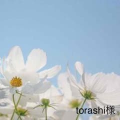★torashi様専用のサムネイル