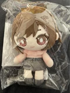 め*こ様 東雲絵名 プロセカ はぴこれ A賞 ぬいぐるみ - メルカリ