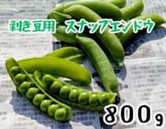 スナップエンドウ　剥き豆用　800gのサムネイル