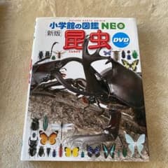 昆虫のサムネイル
